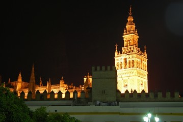 Giralda tower and Cathedral seen from the Patio de Banderas at night, Seville, Spain.