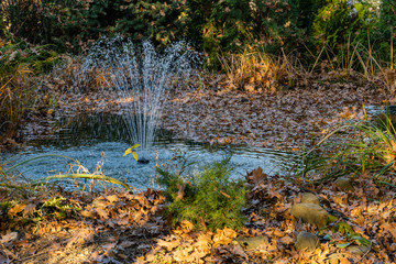 Magic pond with cascading fountain on emerald surface of water on blurry background of evergreens. Selective focus. Autumn landscape in evergreen garden. Nature concept for design.
