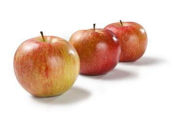 Imperatore apple on white backgrounds Mela Imperatore