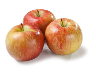 Imperatore apple on white backgrounds Mela Imperatore