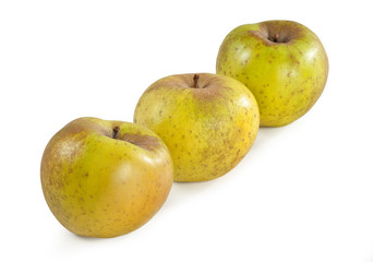 Rennet apple Mela Renetta Canada Reinette apple isolated on white backgrounds