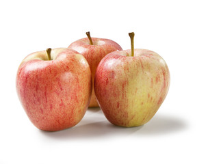Royal apple on white background - Mele Royal