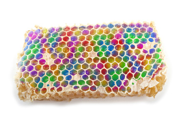 Fototapeta premium Multicolor honeycomb isolated on white