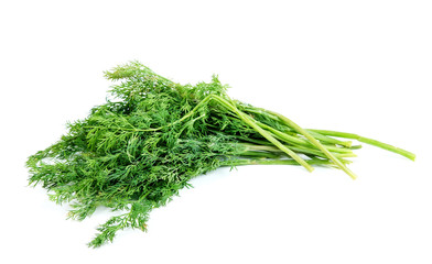 Close up view of bunch of fresh green dill