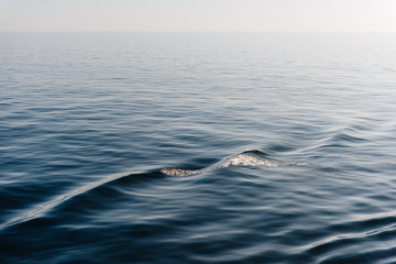 Calm ocean water surface background