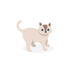 cat funny vector style. isolated flat design.