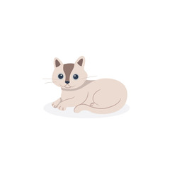 cat funny vector style. isolated flat design.