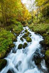 Durmitor National Park in Montenegro during fall season