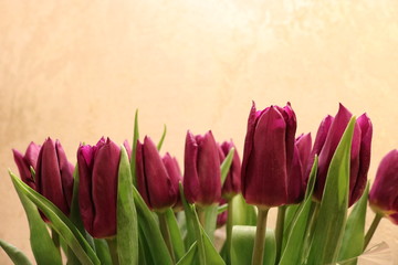 A texture of dark pink with green Tulip leaves against a beige lighted wall.