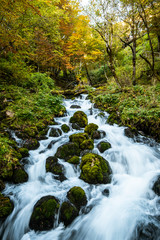 Fototapeta na wymiar Durmitor National Park in Montenegro during fall season