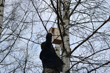 Bare branches of a birch tree through which you can see part of the figure of a man attaching the...