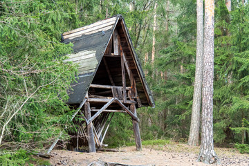 spotted deer standing near the feeders with hay