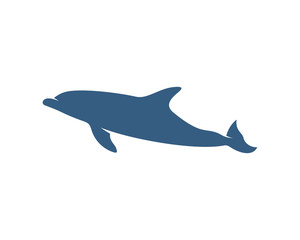Dolphins logo design vector template. Silhouette of Dolphins design illustration