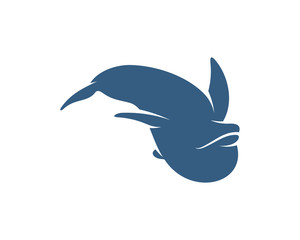 Dolphins logo design vector template. Silhouette of Dolphins design illustration