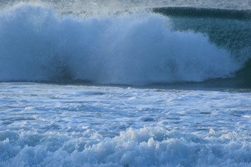 f noronha 