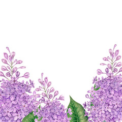 Watercolor frame of lilac flowers