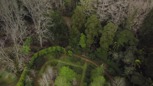 Aerial view of footpath to the wood in Terra Nostra Park in Sao Miguel