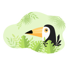 toucan bird in tropical leaves © oksana