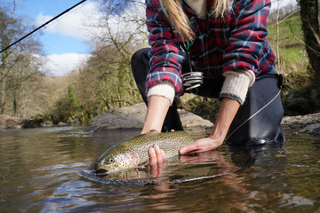 woman catching rainbow trout fly in river