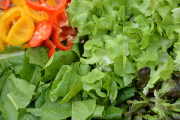 Various fresh vegetable for salad with vivid color as food background.