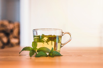 Preparation of mint tea. Mint tea for strong immunity. Tea from fresh mint. 