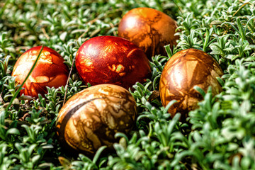 Multicolored easter eggs in green grass. Easter concept