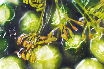 pickled cucumbers with dill in a glass jar top view. cucumbers background. inverted jar with...