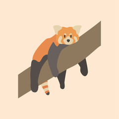 Vector illustration of red panda cartoon style on pastel background.