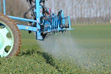 Traitement insecticide contre le charancon sur champ de colza