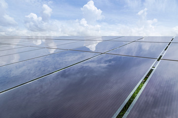 Close up array of  thin film solar cells or amorphous silicon solar cells or photovoltaics in solar...