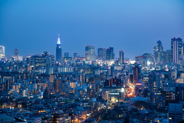 Fototapeta na wymiar tokyo skyline at night