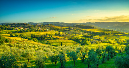 Fototapeta premium Panzano in Chianti vineyard and panorama at sunset. Tuscany, Italy