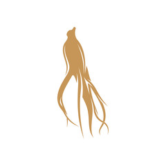 Ginseng logo design vector template. Ginseng root on white background