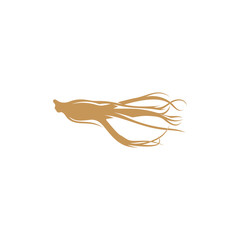 Ginseng logo design vector template. Ginseng root on white background