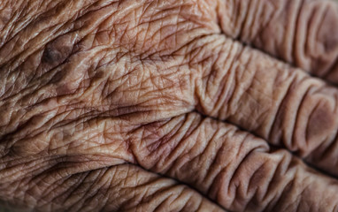 Close-up shot of the wrinkled senior skin people.