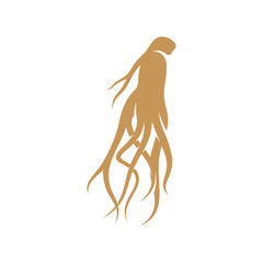 Ginseng logo design vector template. Ginseng root on white background