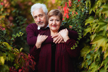 Elderly couple in love walking in the autumn park.
