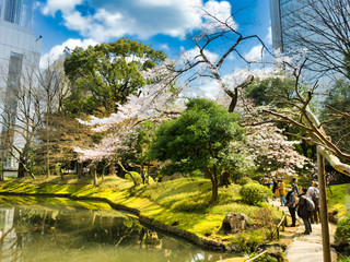 春の六義園　旅行　散歩　おすすめ