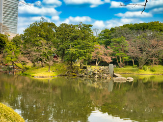 春の六義園　旅行　散歩　おすすめ