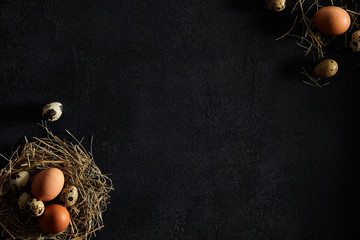 Easter, spring or eco food concept. Top View, copyspace