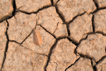 Pattern ground field that is broken from drought with dry leaves in the summer close-up.