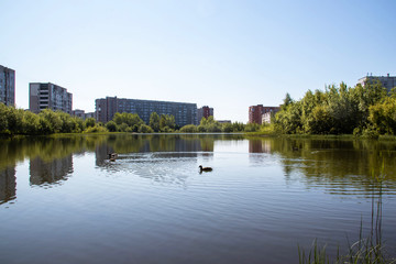 Fototapeta premium Summer day on the island of Jagra. Lake Chayachiy. Severodvinsk, Arkhangelsk region.