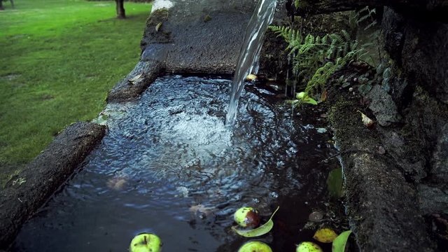 Agua de una fuente y unas manzanas ca&iacute;das de los arboles en la naturaleza