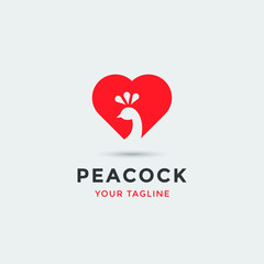 modern awesome peacock logo for any related business