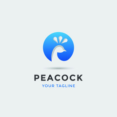 modern awesome peacock logo for any related business