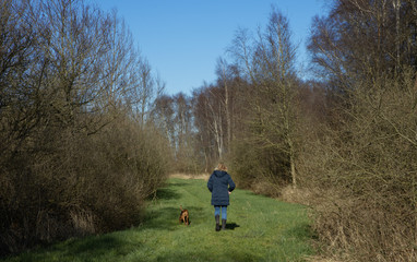 Naklejka na ściany i meble Walking the dog. National Park Weerribben de Wieden. Wetering. Overijssel Netherlands.