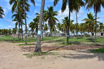 Fototapeta premium porto de galinhas
