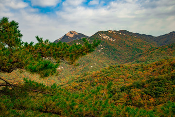 fall mountain 가을산