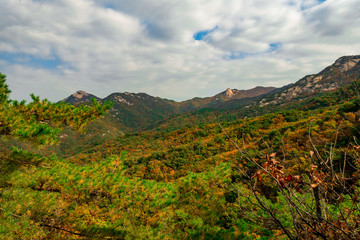 fall mountain 가을산