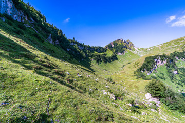 Fototapeta na wymiar Hiking and climbing in the beautiful Tannheim valley